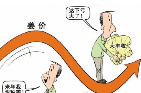 “姜你军”跌的最狠 是咋回事呢？