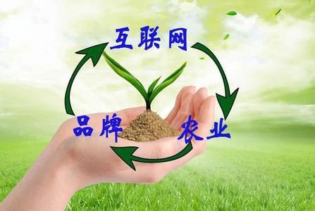 “互联网+农业+品牌”等于什么？